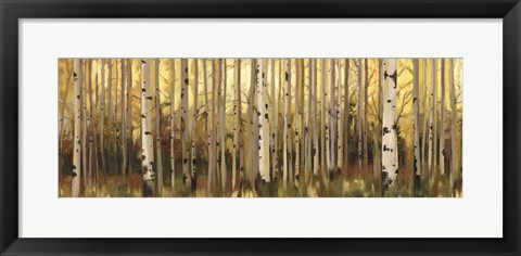 Framed Forest Light Print