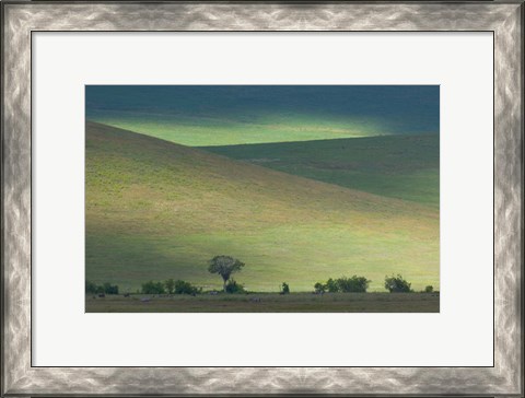 Framed Panoramic view of hill, Ngorongoro Crater, Arusha Region, Tanzania Print