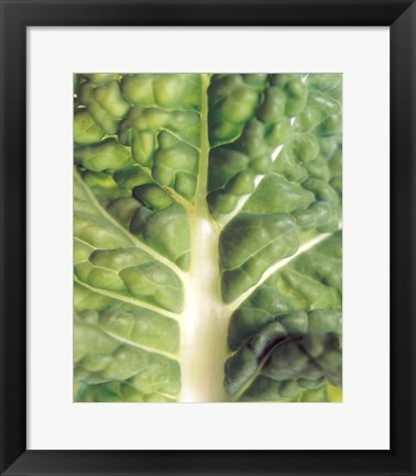 Framed Close up of bumpy vegetable leaf with white stalk Print
