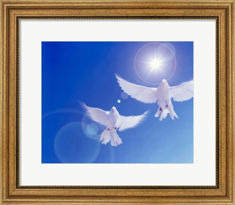 Framed Two doves side by side with wings outstretched in flight with brilliant light and blue sky Print