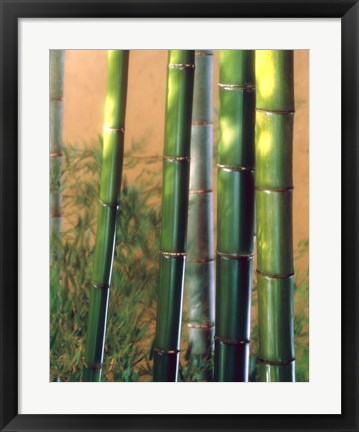Framed Bamboo Sticks Print