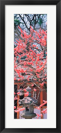 Framed Kitano-Tenmangu Kyoto Japan Print