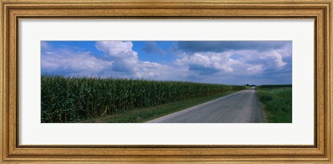 Framed Road along corn fields, Christian County, Illinois, USA Print