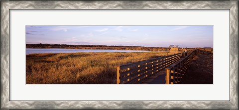 Framed Boardwalk in a state park, Myakka River State Park, Sarasota, Sarasota County, Florida, USA Print