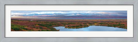 Framed Tundra landscape, Denali National Park, Alaska, USA Print