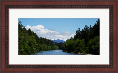 Framed River flowing through a forest, Queets Rainforest, Olympic National Park, Washington State, USA Print