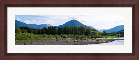 Framed Quinault Rainforest, Olympic National Park, Olympic Peninsula, Washington State Print