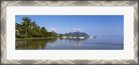 Framed Palm trees at a coast, Kaneohe Bay, Oahu, Hawaii, USA Print