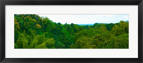 Framed Trees on the bay, Rempart and Mamelles peaks, Tamarin Bay, Mauritius island, Mauritius Print