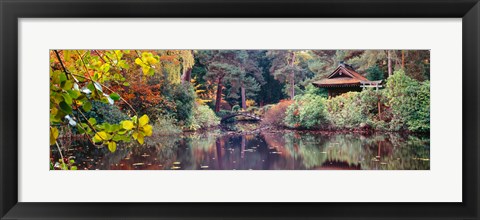 Framed Japanese Garden in autumn, Tatton Park, Cheshire, England Print
