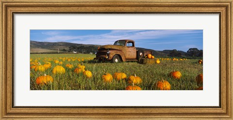 Framed Old Rusty Truck in Pumpkin Patch, Half Moon Bay, California, USA Print