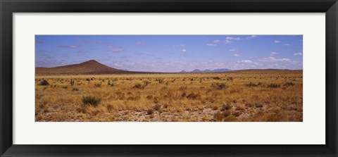 Framed Dry grass and bush at Big Bend National Park, Texas, USA Print