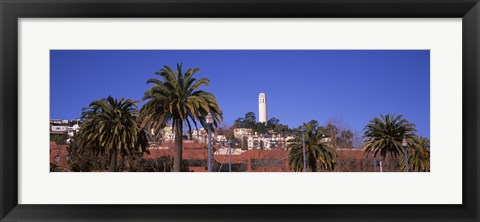 Framed Palm trees with Coit Tower in background, San Francisco, California, USA Print