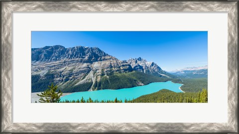 Framed Peyto Lake at Banff National Park, Alberta, Canada Print
