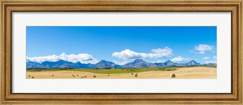 Framed Hay bales in a field with Canadian Rockies in the background, Alberta, Canada Print