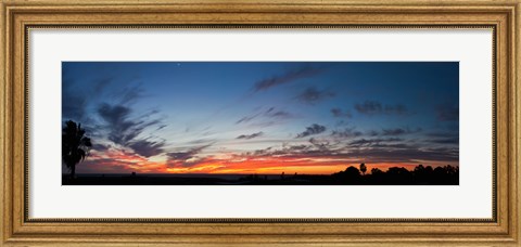 Framed Silhouette of trees at sunset, Todos Santos, Baja California, Mexico Print