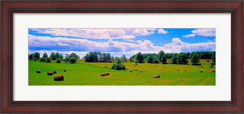Framed Hay bales in a landscape, Michigan, USA Print