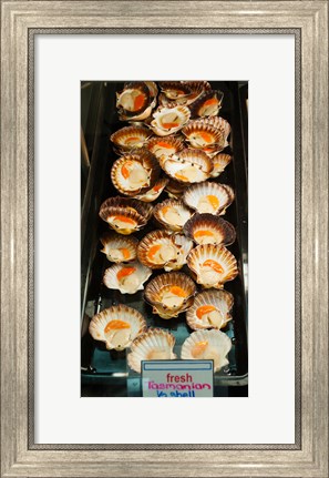 Framed Tasmanian oysters for sell in the Central Market, Adelaide, South Australia, Australia Print