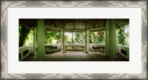 Framed Canopy in the botanical garden, Jardim Botanico, Zona Sul, Rio de Janeiro, Brazil Print