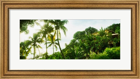 Framed Palm trees covering a small bungalow in Morro De Sao Paulo, Tinhare, Cairu, Bahia, Brazil Print