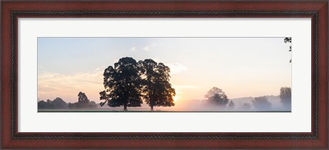 Framed Trees at sunrise, USK Valley, South Wales, Wales Print