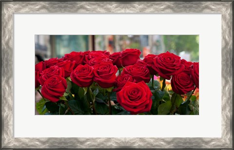 Framed Close-up of red roses in a bouquet during Sant Jordi Festival, Barcelona, Catalonia, Spain Print