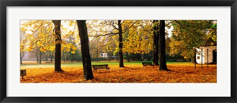 Framed Park Bavaria Germany Print