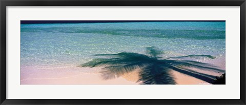 Framed Palm Tree Shadow Over the Maldives Print