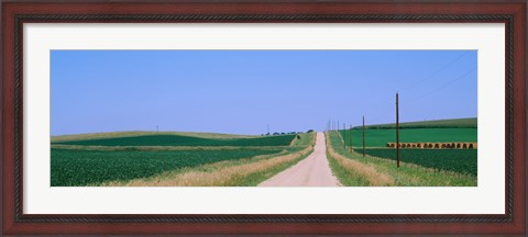 Framed Road along fields, Minnesota, USA Print