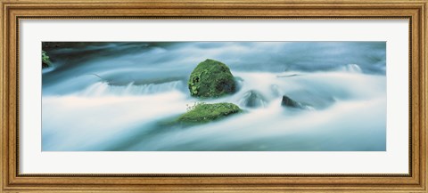 Framed Oirase River Aomori Japan Print