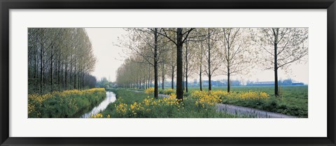 Framed Dordrecht Holland Netherlands Print