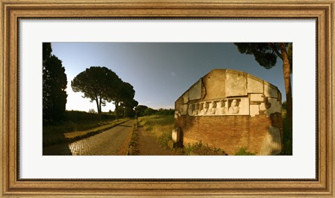 Framed Tombs and umbrella pines along the Via Appia Antica, Rome, Lazio, Italy Print
