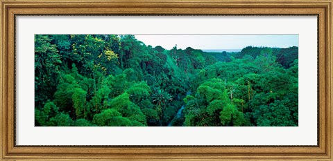 Framed Aerial View of Mauritius Island Print