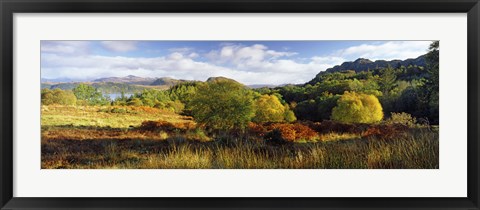 Framed Autumn Rrees at Loch Carron, Scotland Print