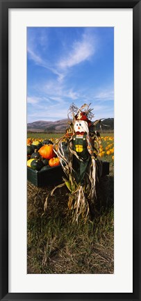 Framed Scarecrow in Pumpkin Patch, Half Moon Bay, California (vertical) Print