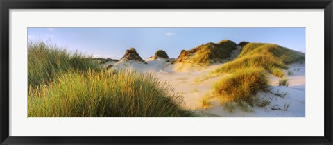 Framed Morning light on Forvie dunes, Newburgh, Aberdeenshire, Scotland Print