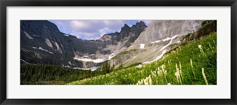 Framed Beargrass with mountains in the background, Montana Print