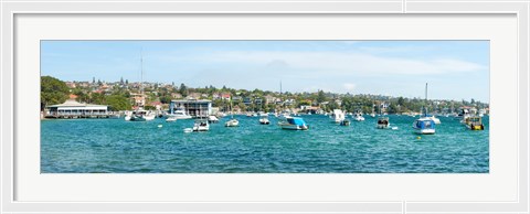 Framed Boats docked at Watsons Bay, Sydney, New South Wales, Australia Print
