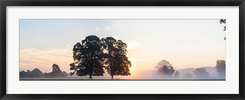 Framed Trees at sunrise, USK Valley, South Wales, Wales Print