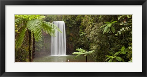 Framed Waterfall in a forest, Millaa Millaa Falls, Atherton Tableland, Queensland, Australia Print