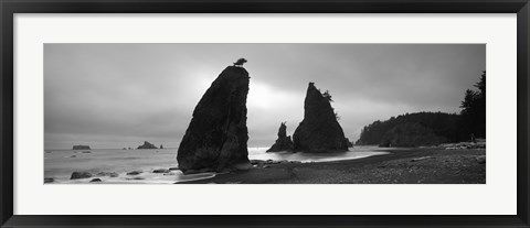 Framed Silhouette of seastacks at sunset, Olympic National Park, Washington State (black and white) Print