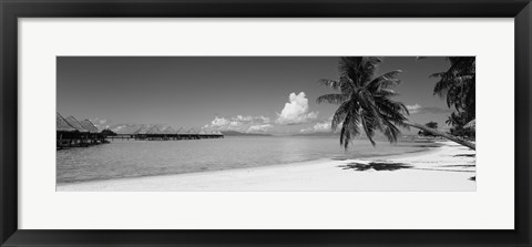 Framed Moana Beach (black and white), Bora Bora, Tahiti, French Polynesia Print