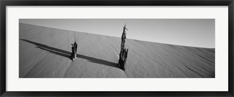 Framed Dead Pines at Coral Pink Sand Dunes State Park, Utah (black &amp; white) Print