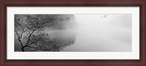 Framed Reflection of trees in a lake, Lake Vesuvius, Wayne National Forest, Ohio, USA Print