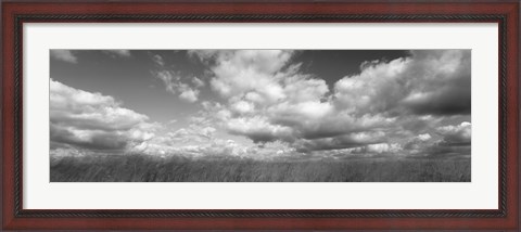 Framed Hayden Prairie, Iowa (black and white) Print