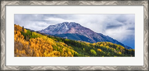 Framed Trees on mountains, San Juan National Forest, Colorado, USA Print