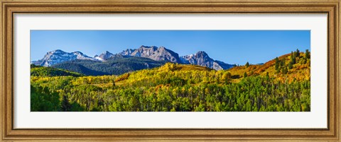 Framed Uncompahgre National Forest, Colorado Print