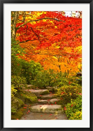 Framed Stone steps in a forest in autumn, Washington State, USA Print