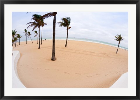 Framed Palm trees on the beach, Fort Lauderdale, Broward County, Florida, USA Print