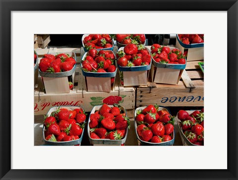 Framed Strawberries for sale at weekly market, Arles, Bouches-Du-Rhone, Provence-Alpes-Cote d&#39;Azur, France Print